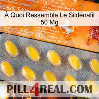À Quoi Ressemble Le Sildénafil 50 Mg new05